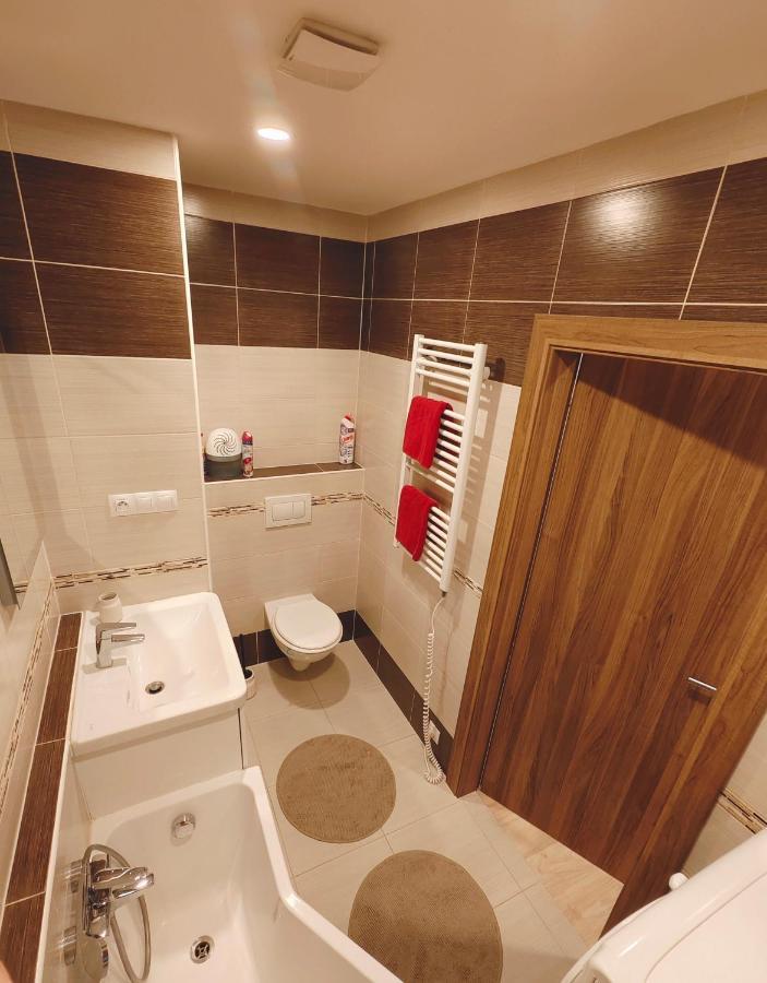 Apartman V Centru Karlovy Vary Dış mekan fotoğraf