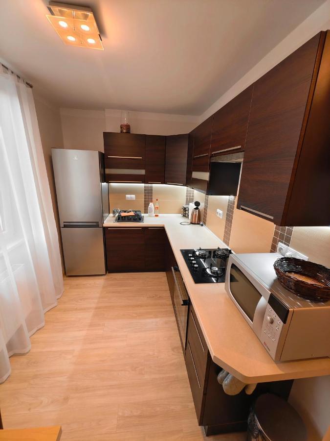 Apartman V Centru Karlovy Vary Dış mekan fotoğraf